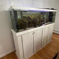 150 Gallon Fish Tank W/stand