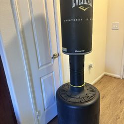 Everlast Standing Punching Bag