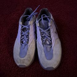 NIKE SB VERTEBRAE SHOES (PURPLE) size 9