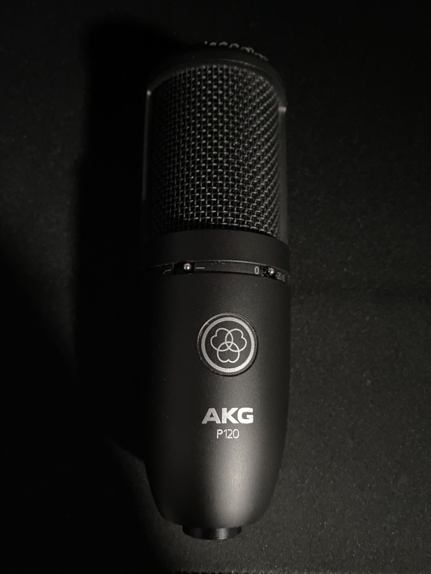 AKG P120 Mic