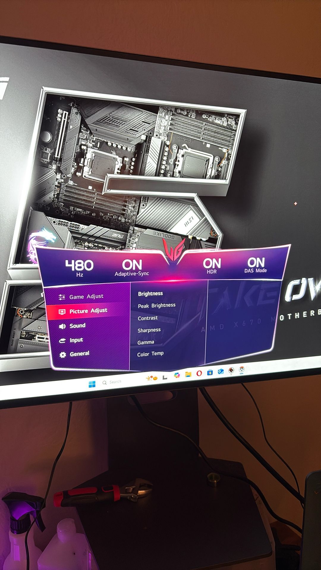 480 FPS OLED Monitor