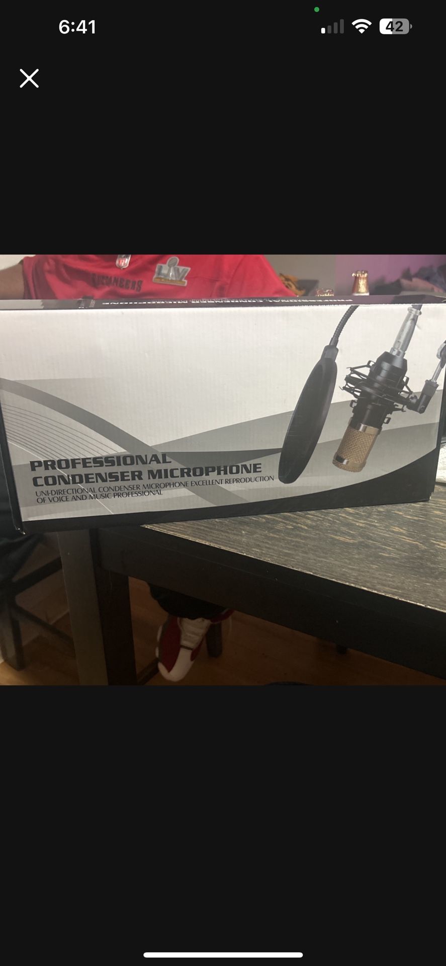 Professional Microphone