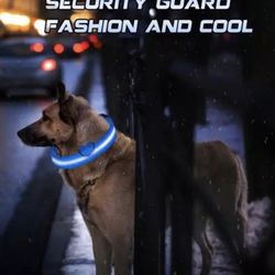 New Unworn Blue Light Up Dog Collar 