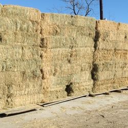 Bermuda De Venta. $14