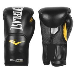 Everlast Boxing Gloves 