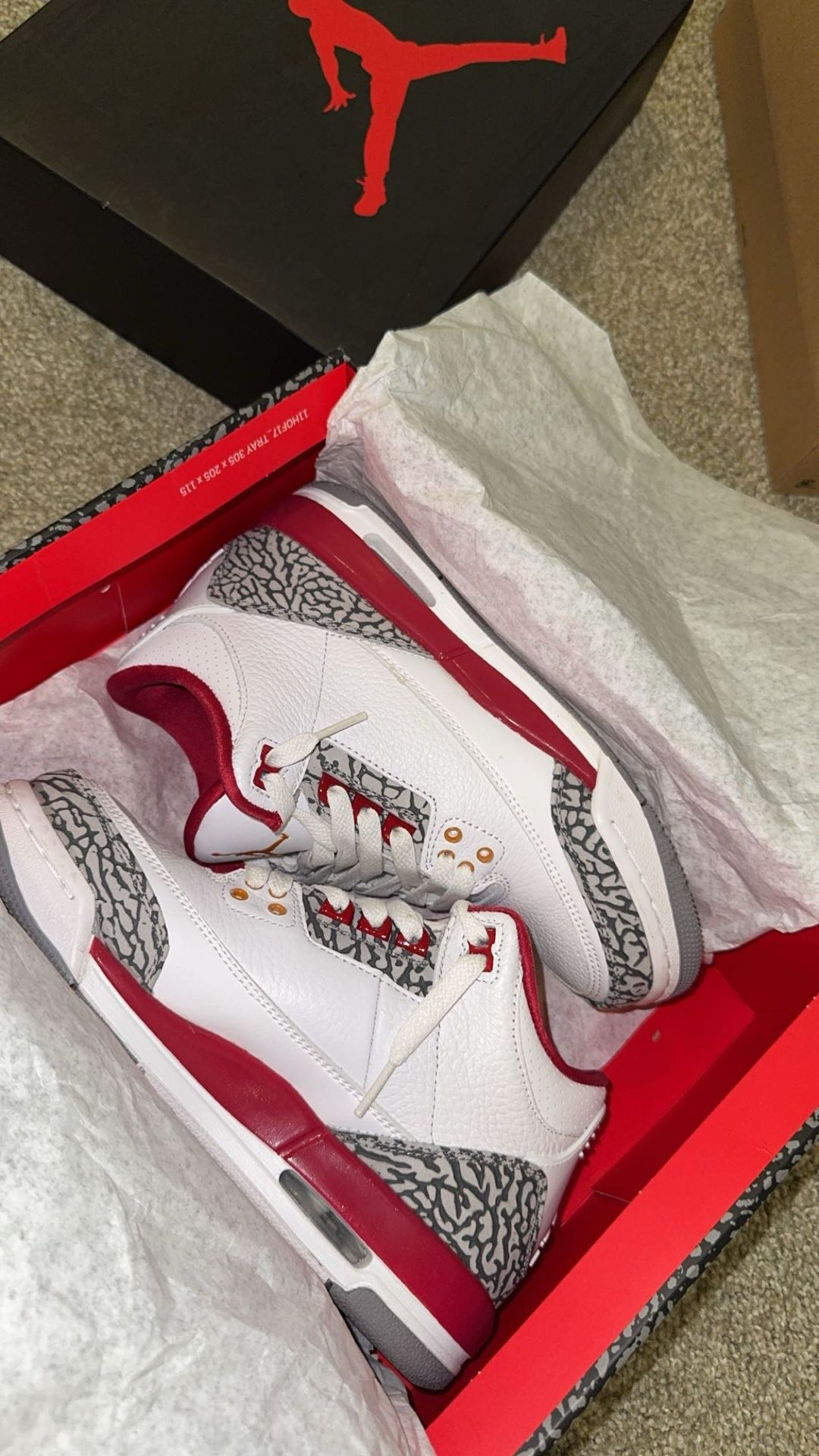 Jordan 3 retro cardinal
