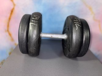 One 27 lb Dumbbell