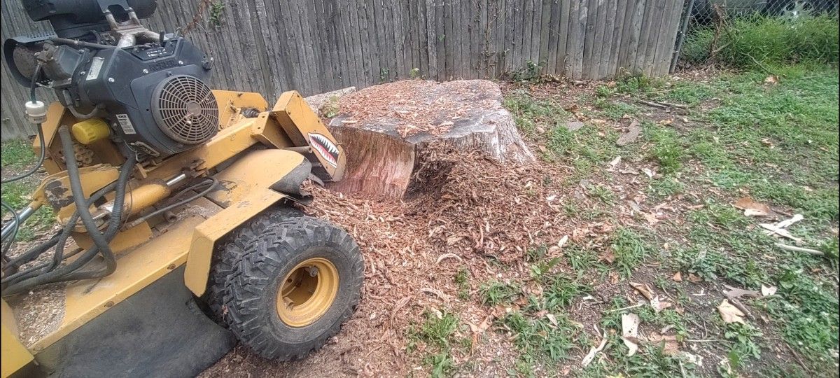 Stump Grinder
