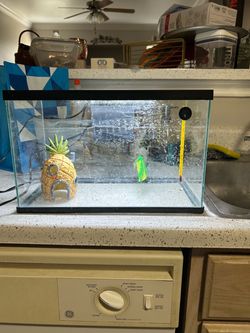 Fish tank
