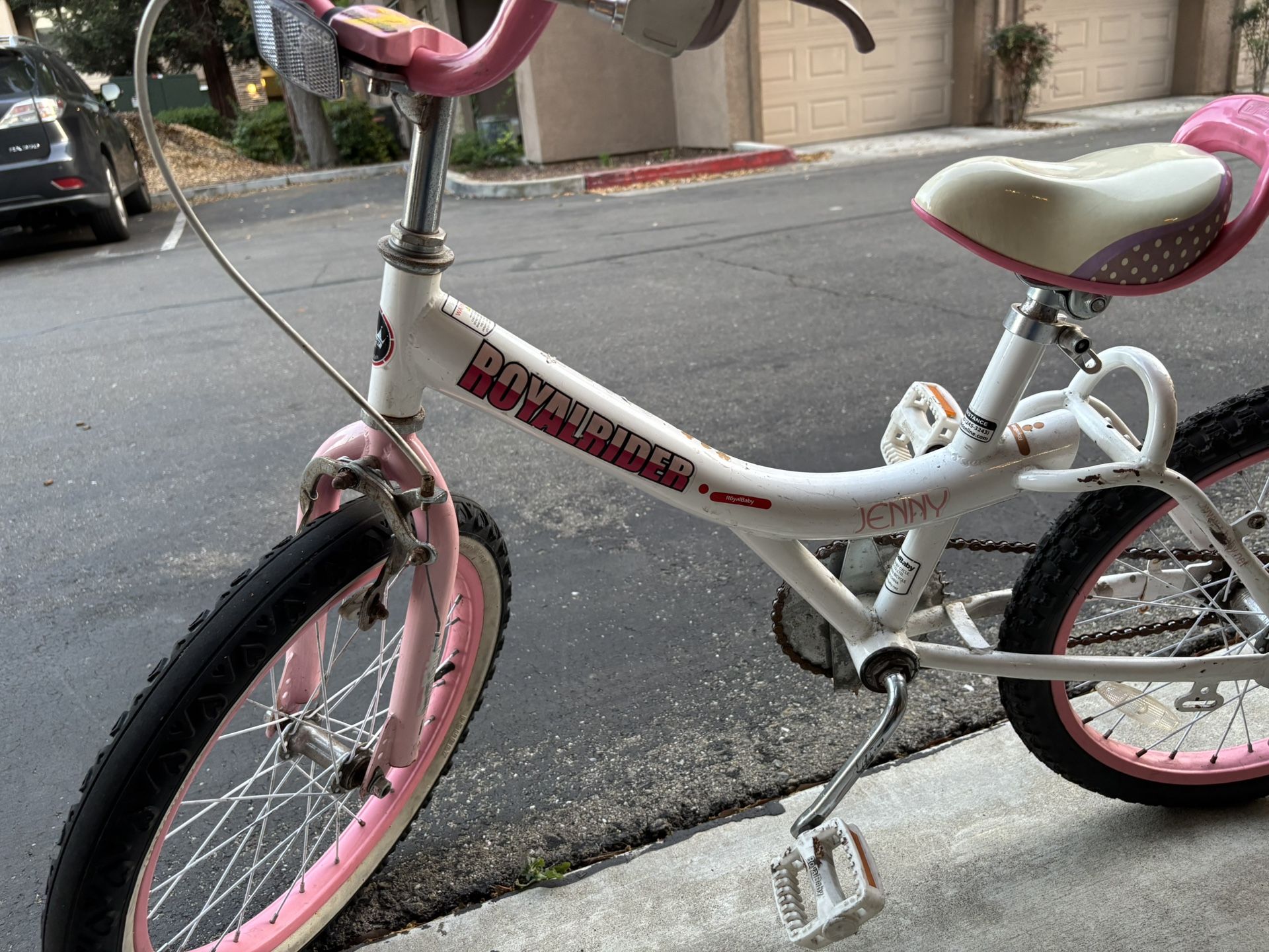 20 Inch Girls Bike