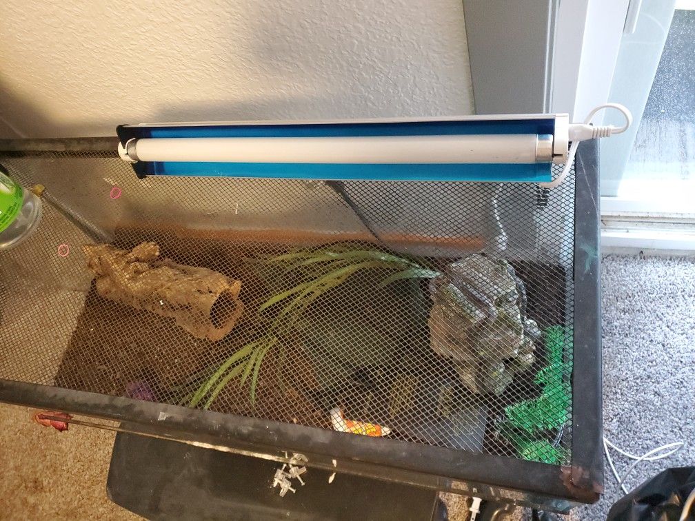 Reptile Tank &supplies