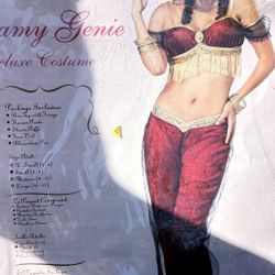 Dreamy Genie Belly Dancer Harem Cosplay Costume Halloween