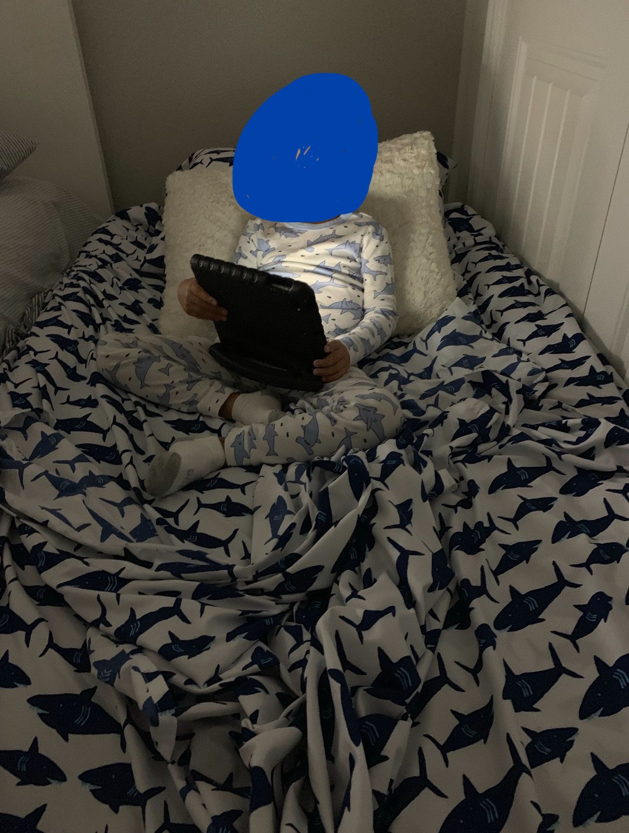 Twin Inflatable Bed With Auto Airpump