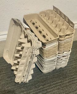 Empty Egg Containers 