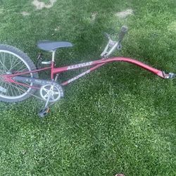 Alllycat trail bike, 20 inch tire