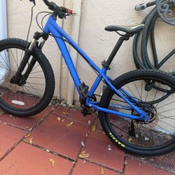 Giant STP Kids Mountain Bike (2)
