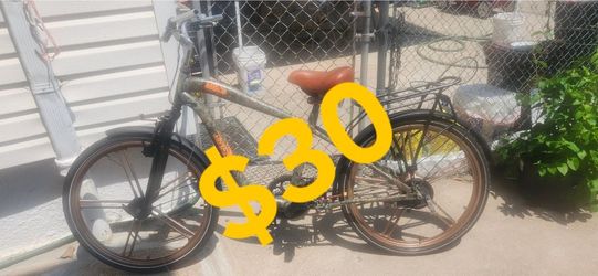 $30 eBike Project. Fly10 or GoPlus . No battery