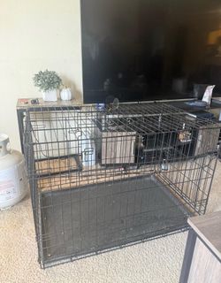PET cage