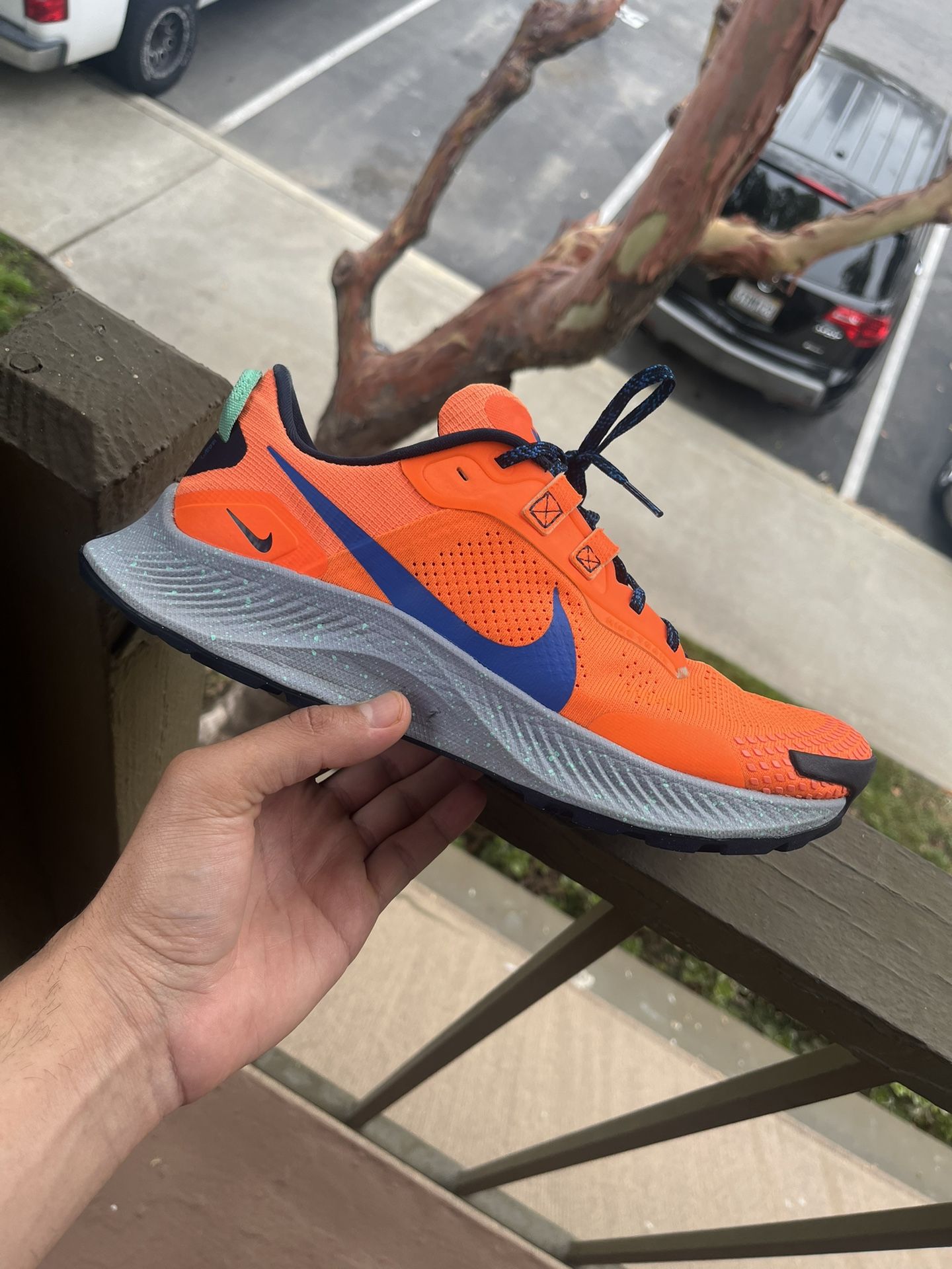 Nike Trail Shoes