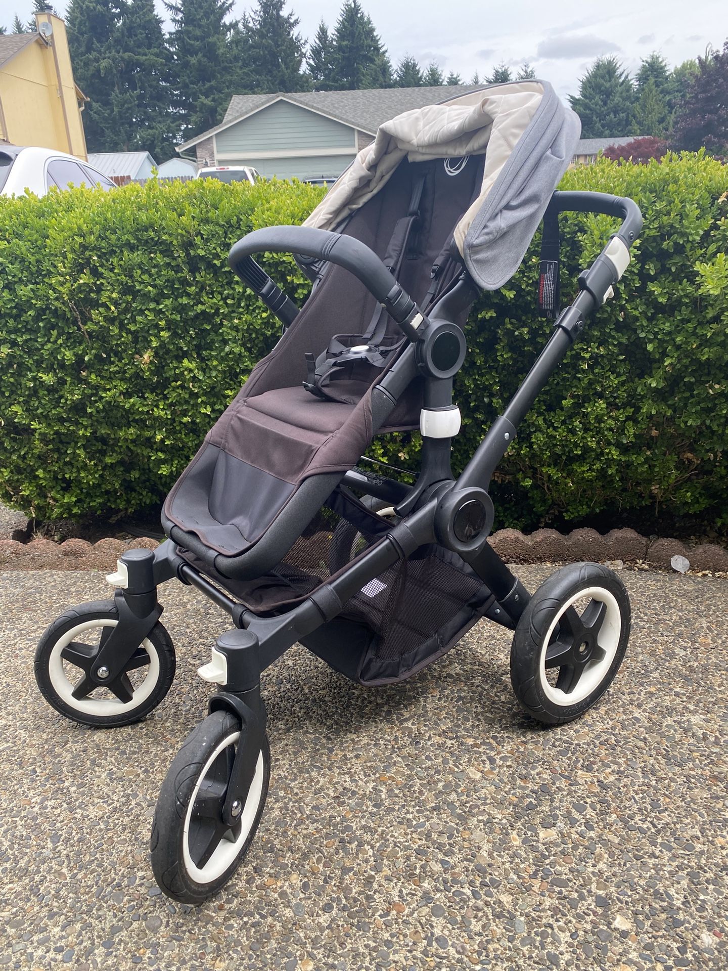 Bugaboo Buffalo Stroler