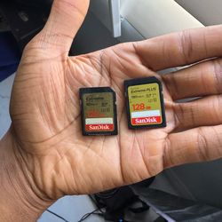 DUAL 128gb SD Card Pack