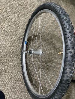 26 inch rim/650 rim
