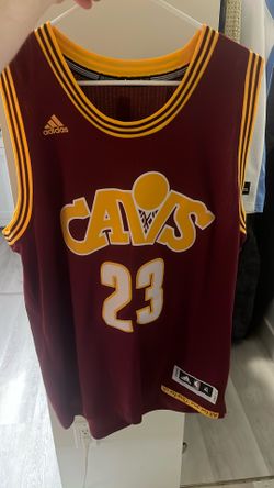 Cleveland Cavaliers LeBron James