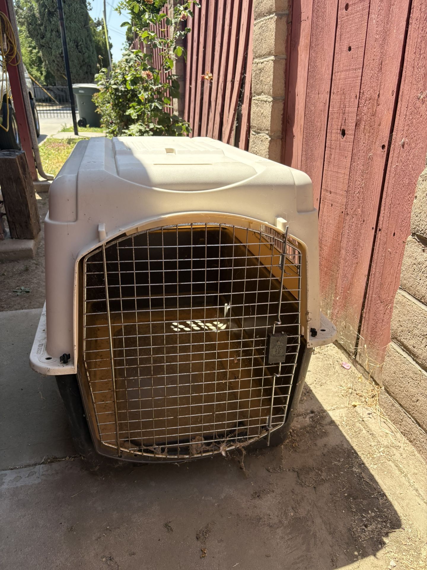 Dog Kennel