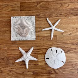 Coastal Beach Decor Set — Starfish, Sand Dollar & Shell Plaque
