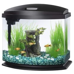 5 gal Fish Tank