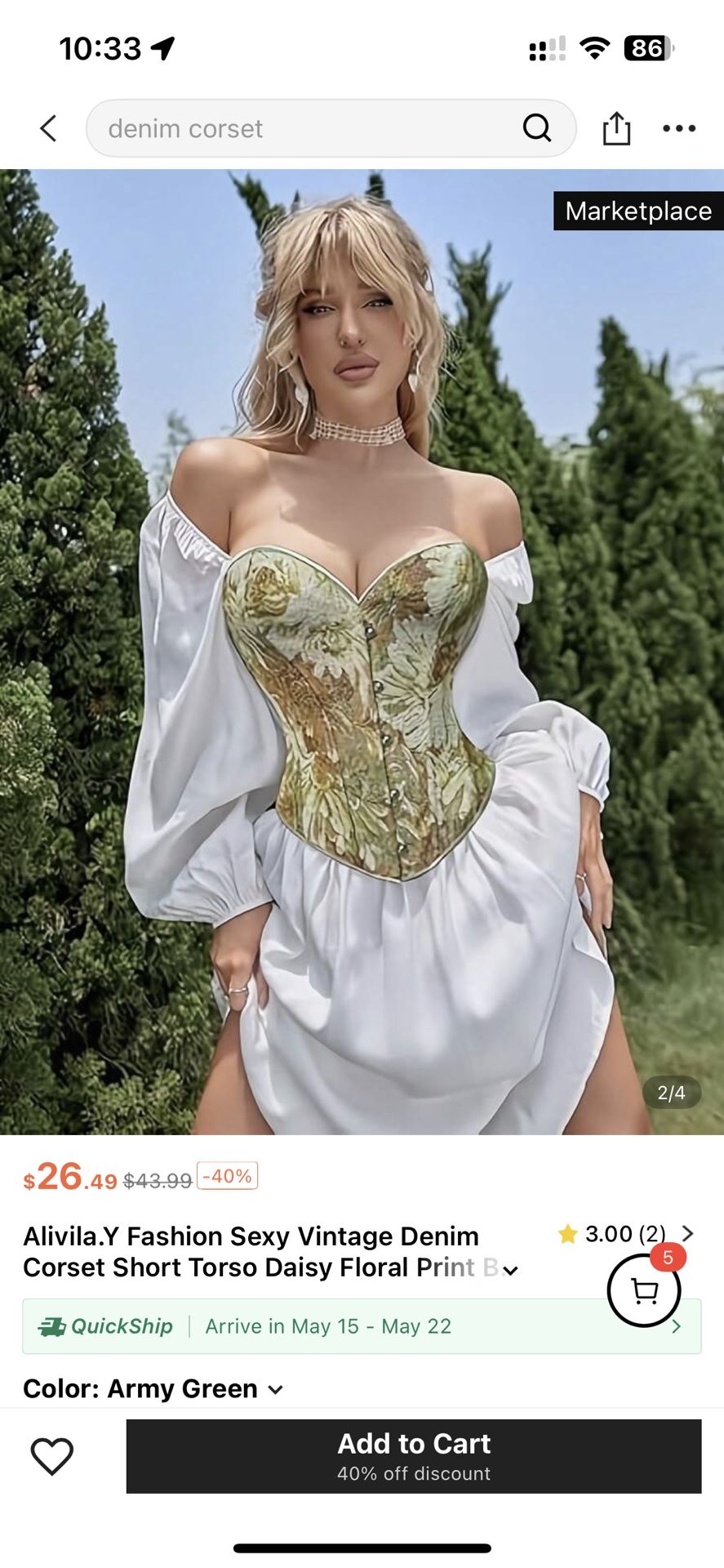 Renaissances Fair Corset Vintage European
