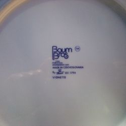 Baum bros , dish set