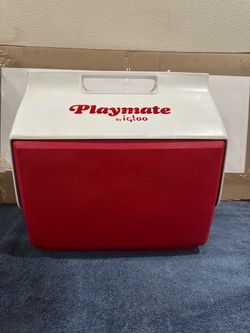 Playmate   Igloo   Cooler   4qt