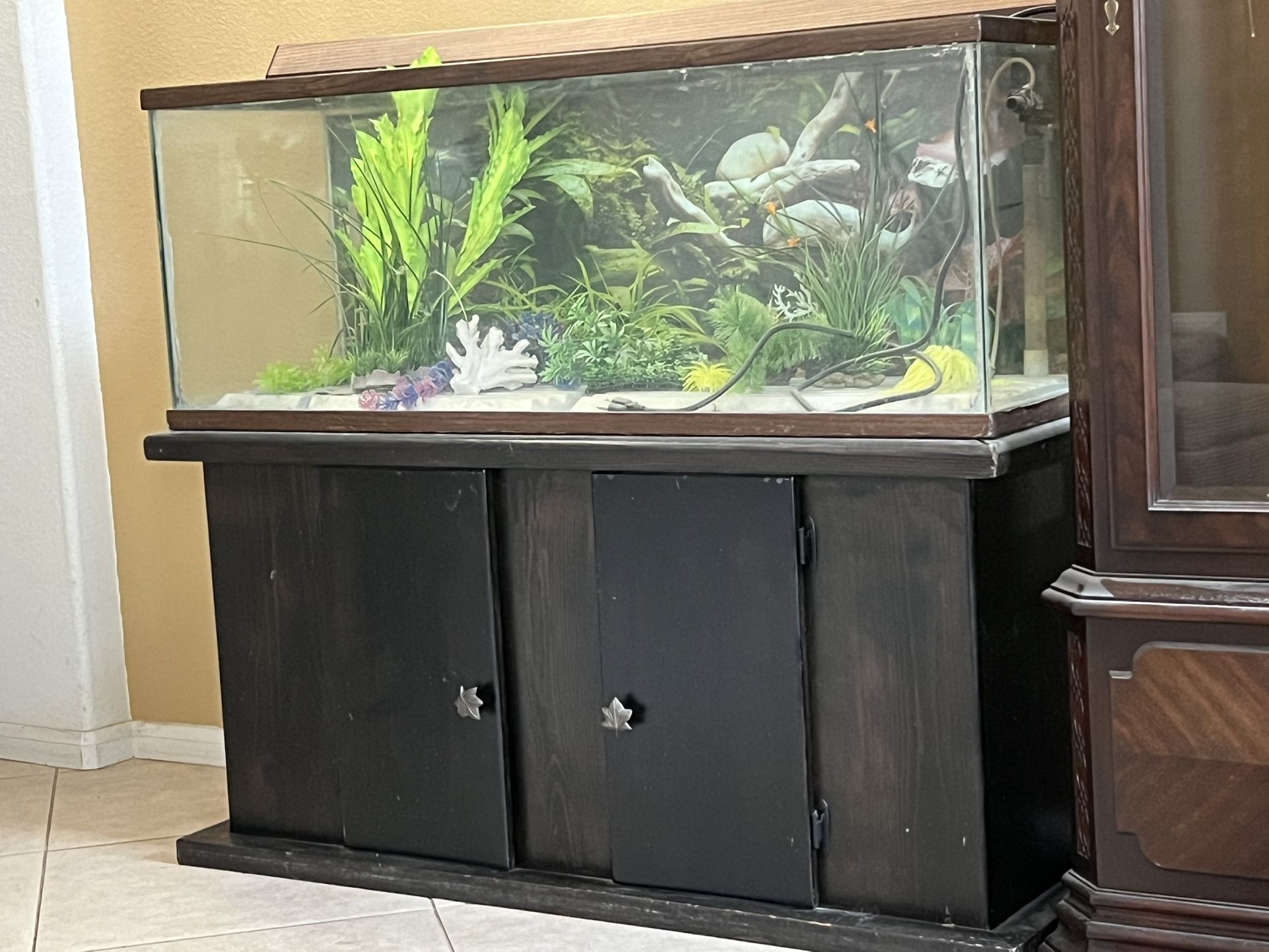 Fish Tank