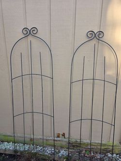 Metal frame for climbing flowers