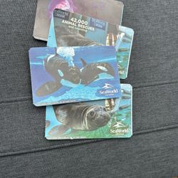 Seaworld Passes
