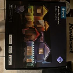 Govee Lights 