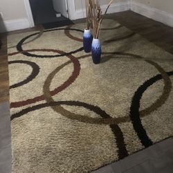 Area Rug 10x8 Large