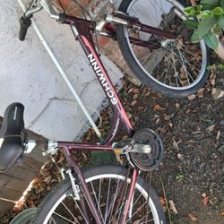 Schwinn Mountain Bike Females