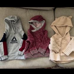18 Month Hoodies X 3