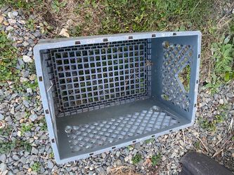 Milk crate