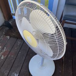 Fan