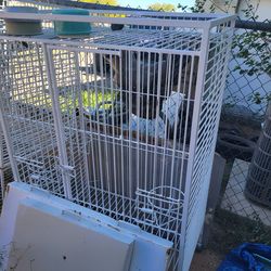 Large parrot cage
