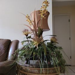 Decorative Plants