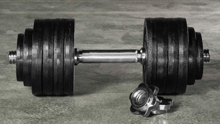 Adjustable Dumbbells and stand