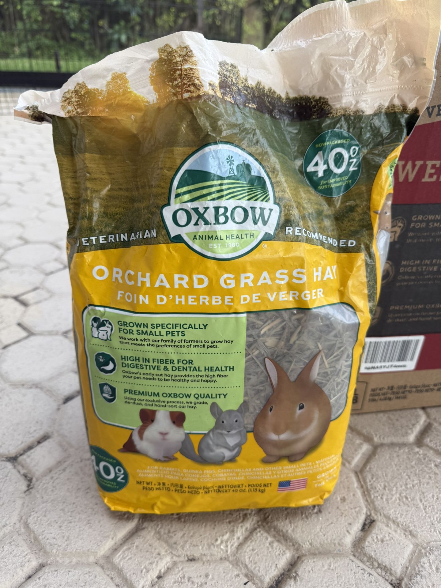 Orchid Hay