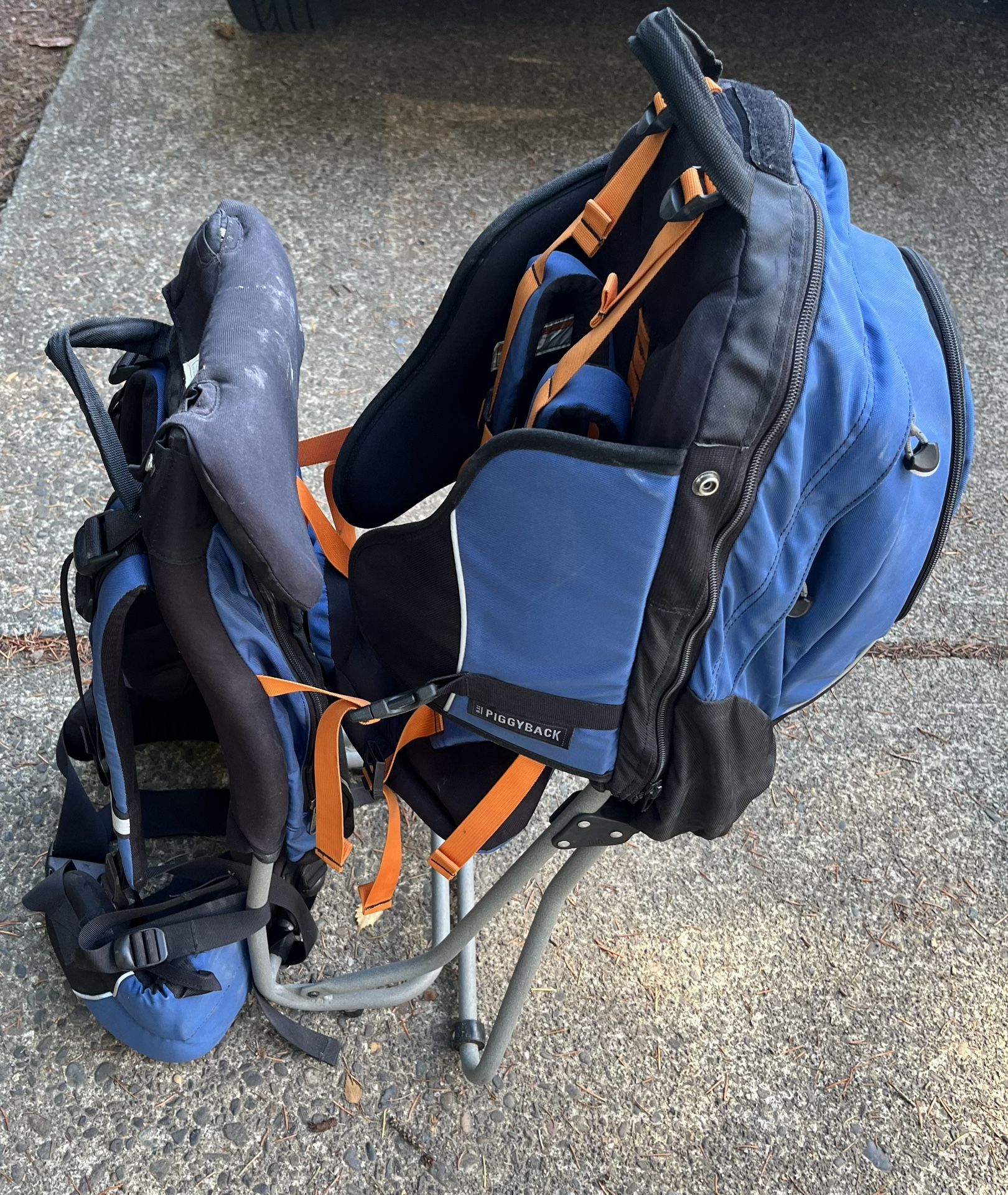 REI kid carrier/backpack