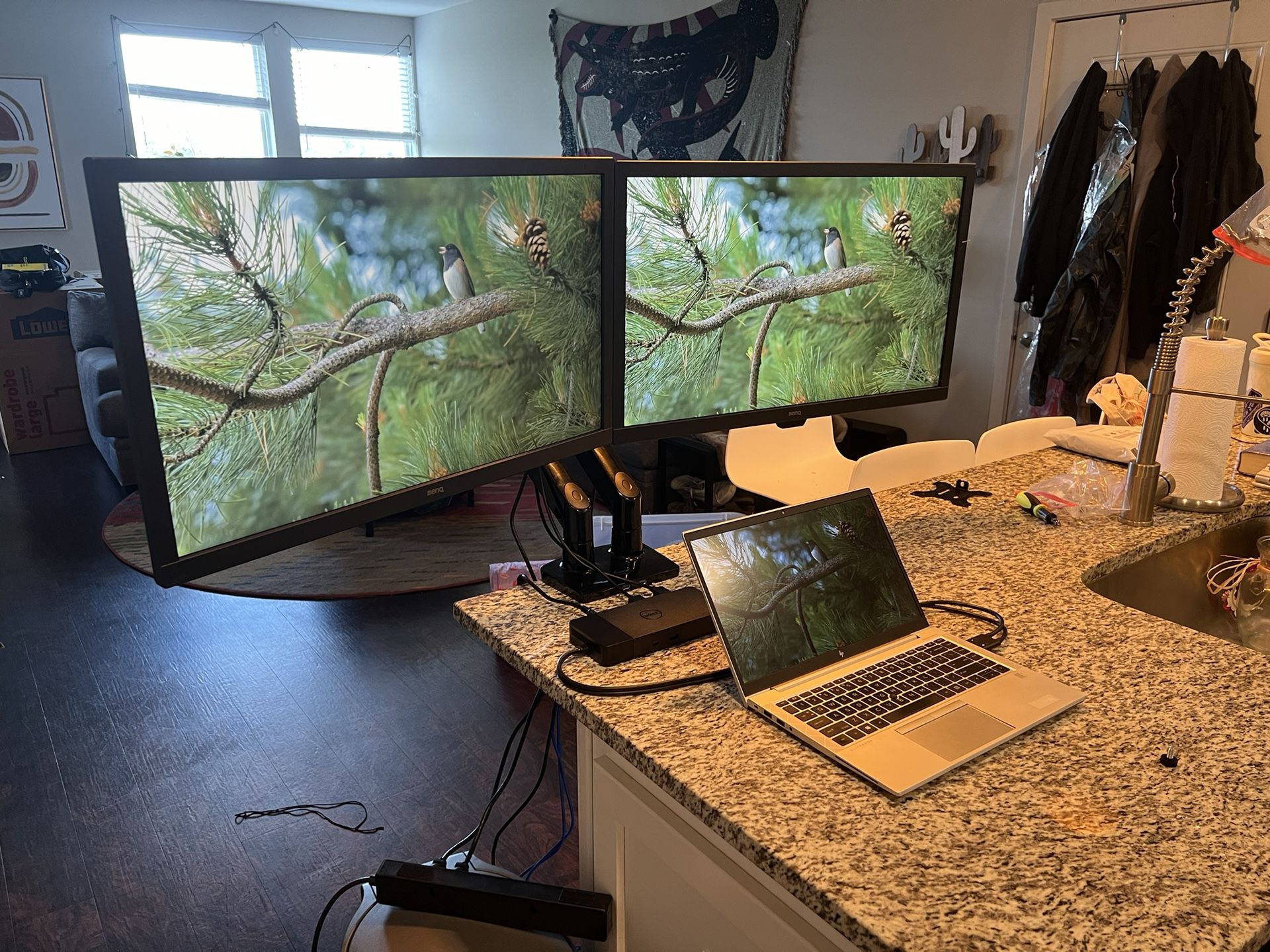 Dual Monitors with Docking Station and Desk Mounts