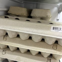 Fresh Eggs