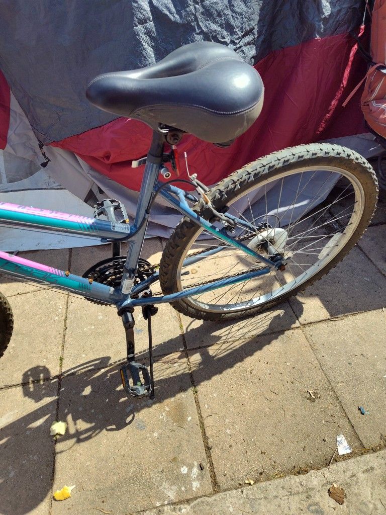 Adult Bike